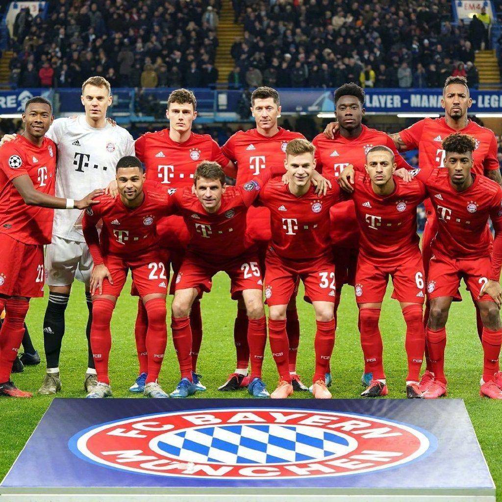 的强对比灯 的强对比灯